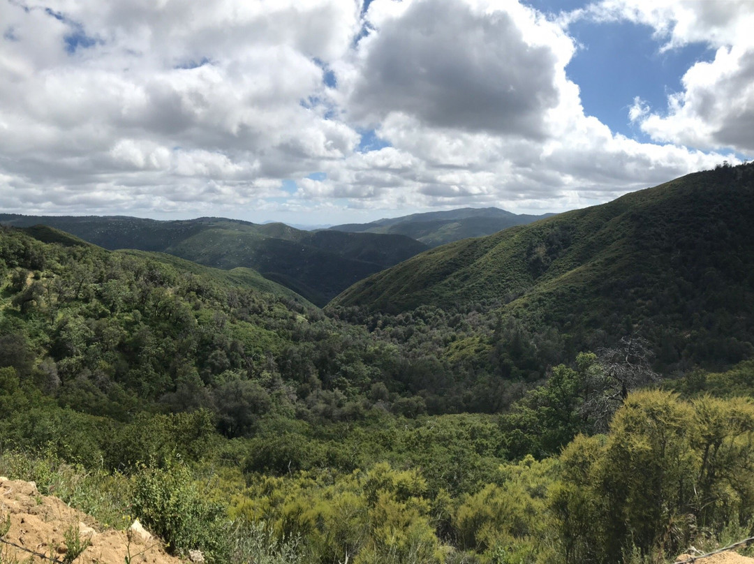Palomar County Park景点图片