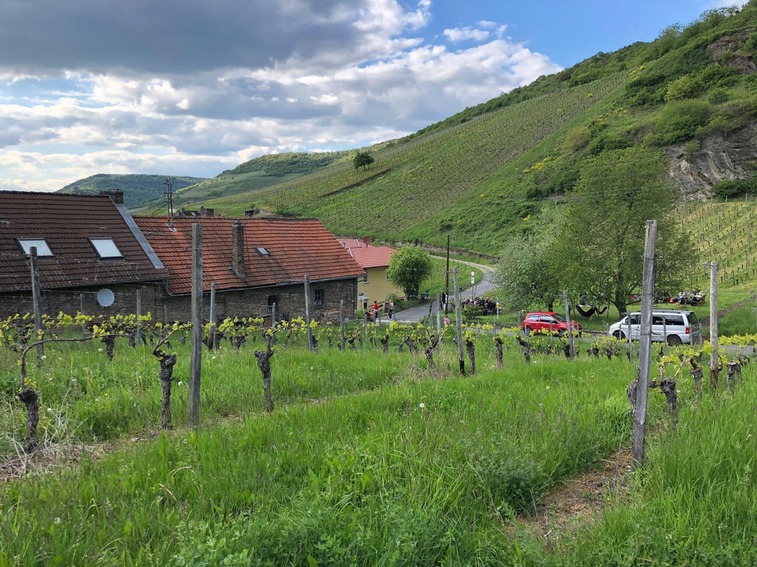 Weingut Traubenwerk-Lorch必去景点