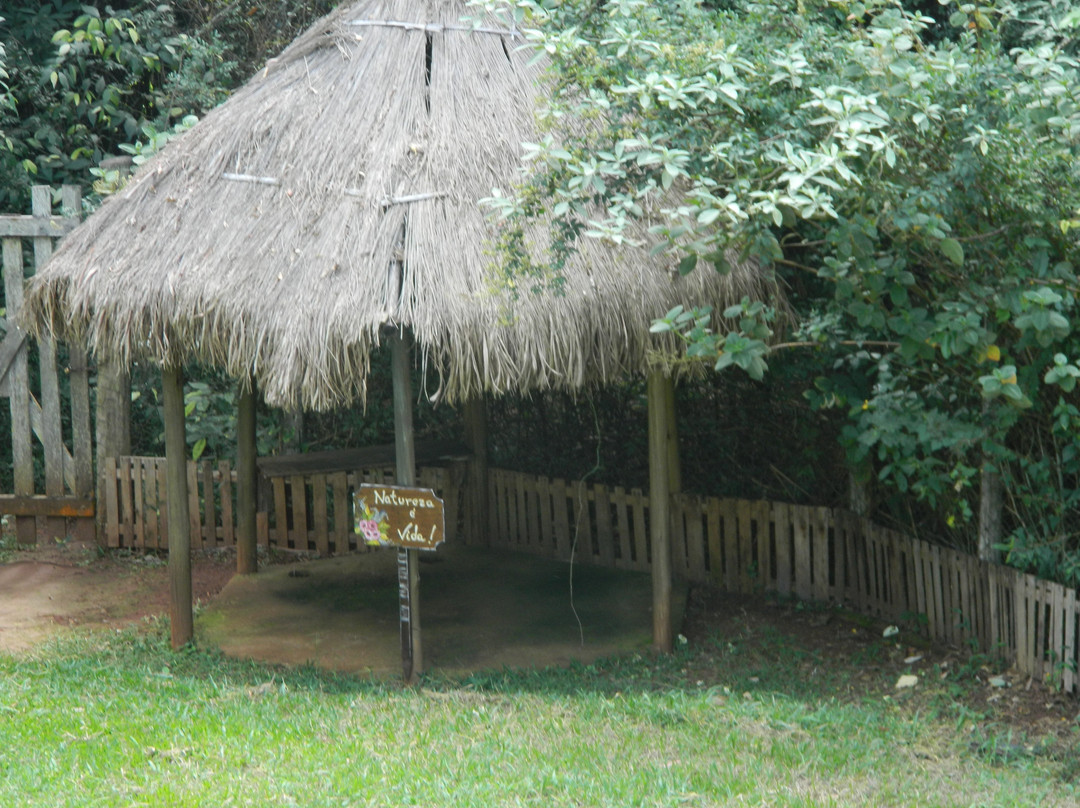 Escorregador Waterfall-Brotas必去景点