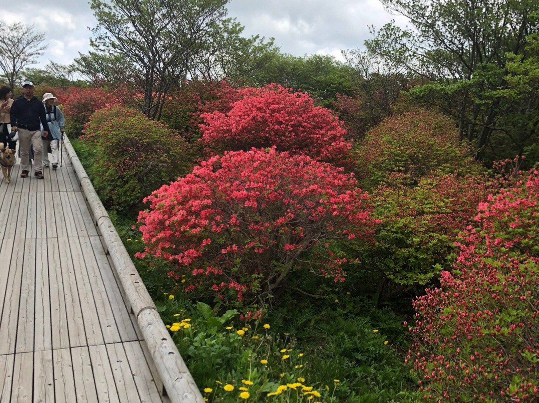 Nasu Highlands-那须町必去景点