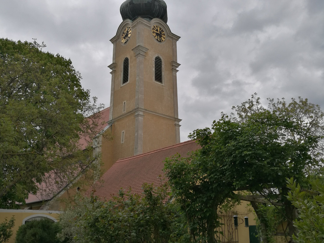 Weingut Schloss Gobelsburg景点图片