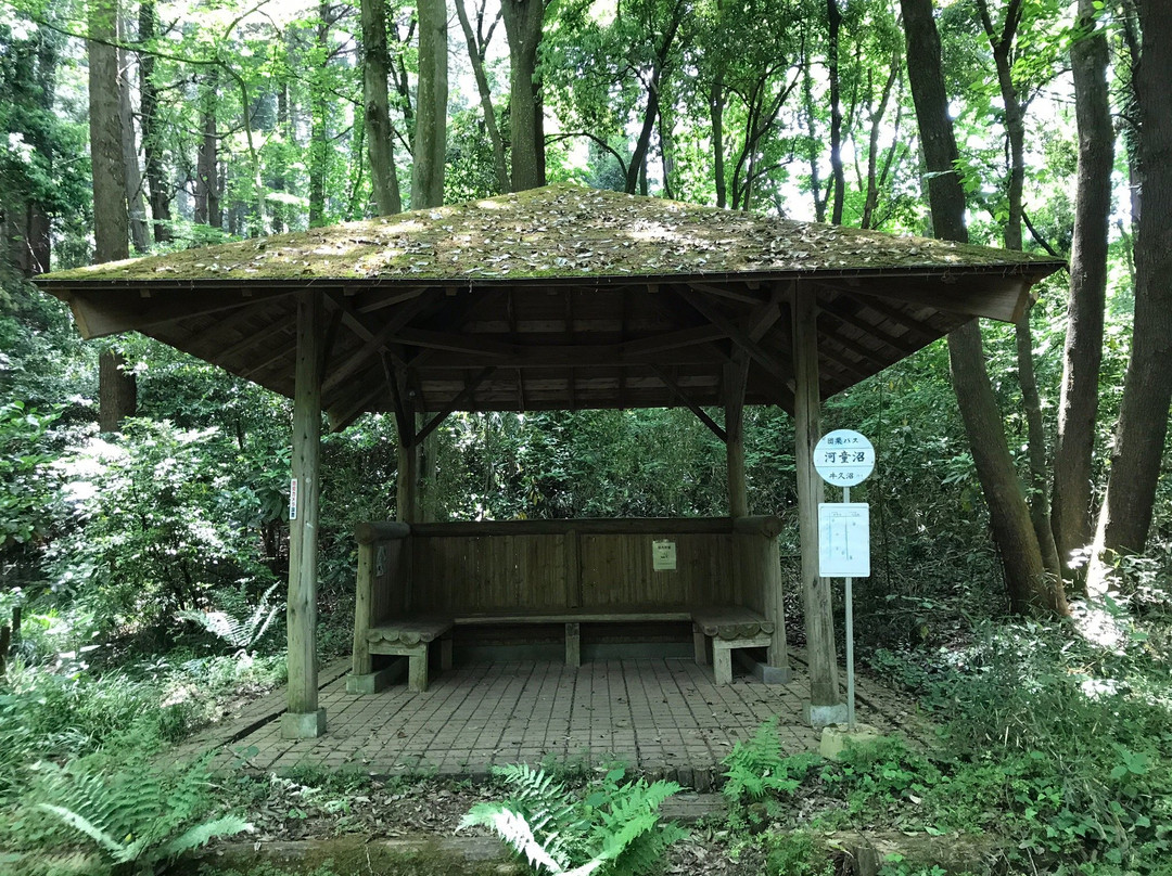 Ushiku Nature Sanctuary-牛久市必去景点