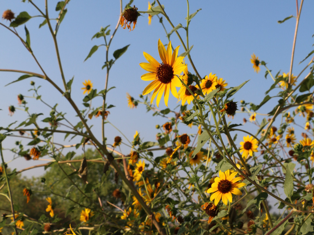 圣路易斯国家野生动物保护区-洛斯巴诺斯必去景点