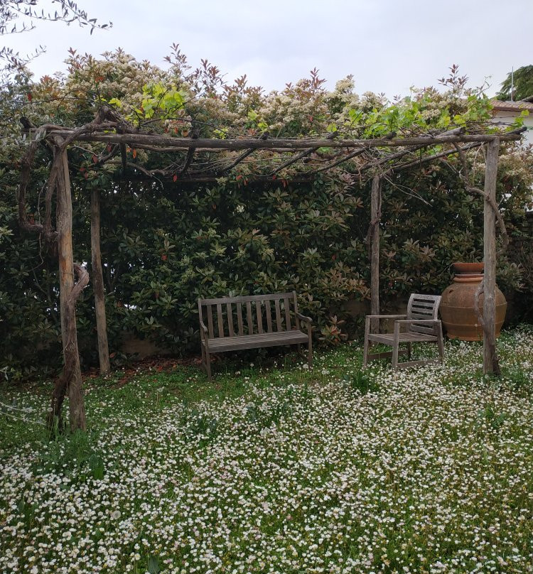 Il Fienile Sotto L'Arco主图