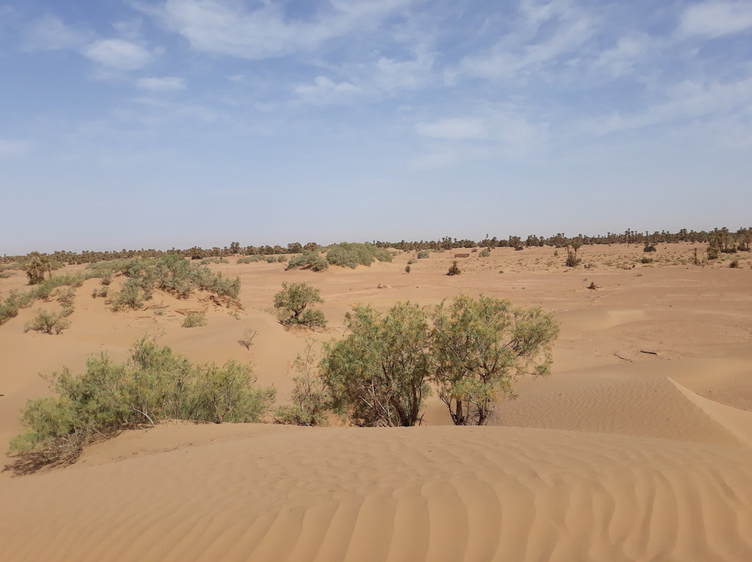 Kasbah Aladdin主图