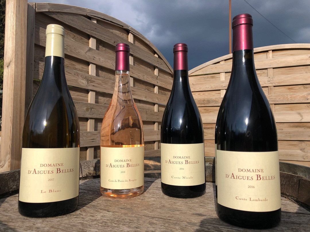 Domaine D'Aigues-Belles景点图片