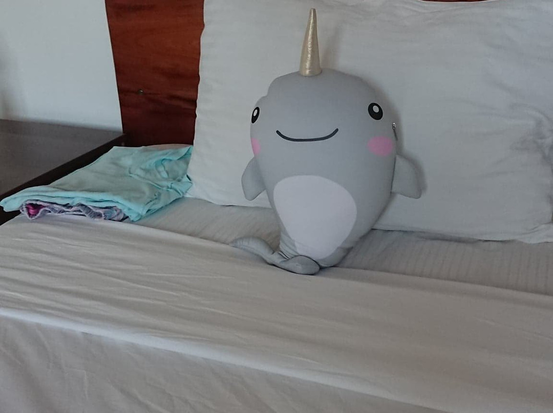 GT Self Catering Apartments主图