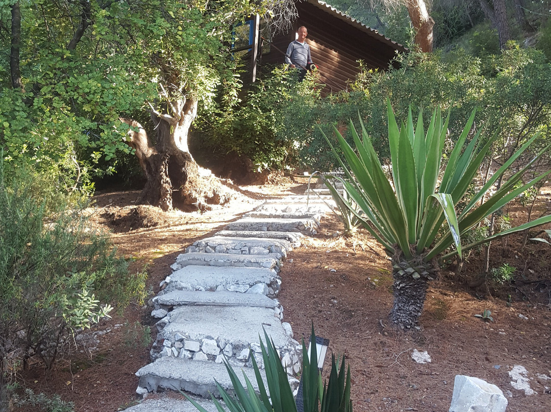 Finca Los Pinos主图