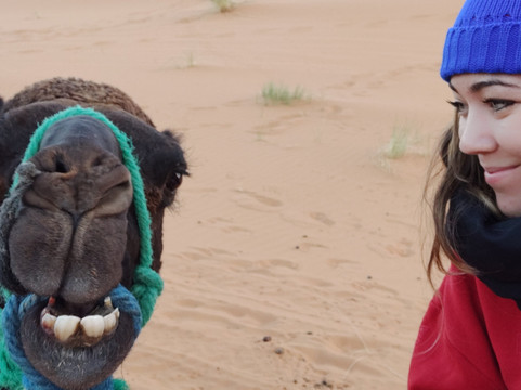 Pepe Tours-滨海罗克塔斯必去景点