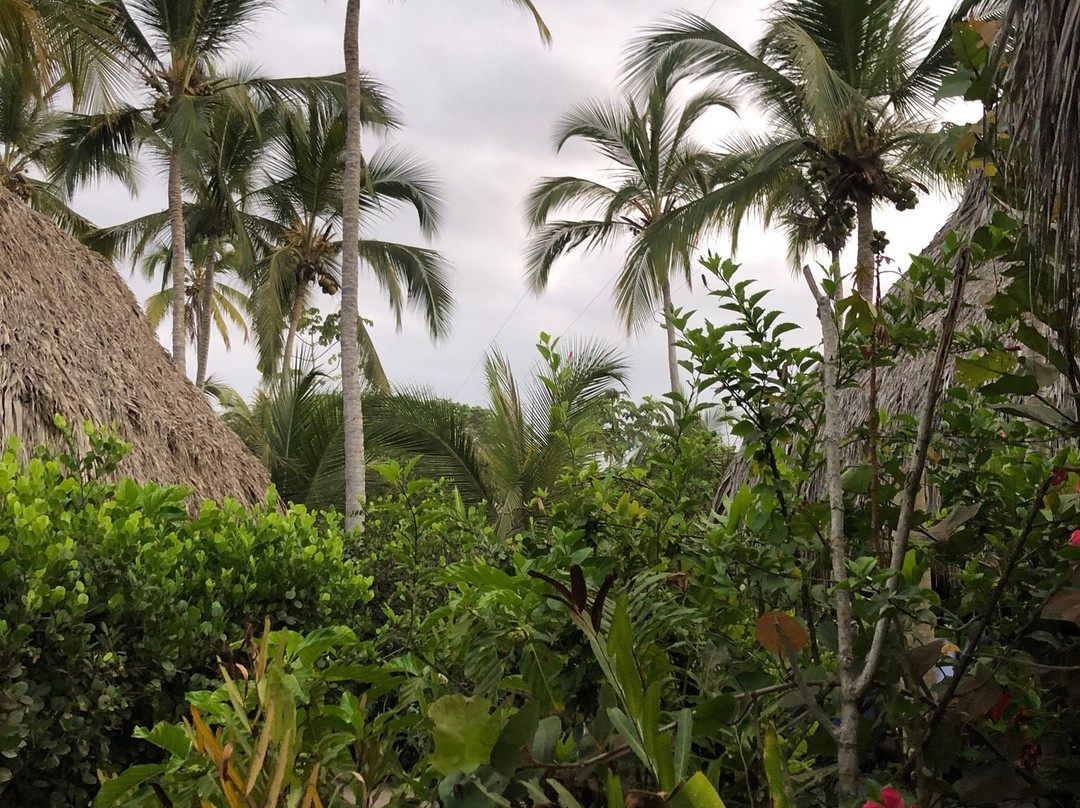 Playa Pikua Ecolodge主图