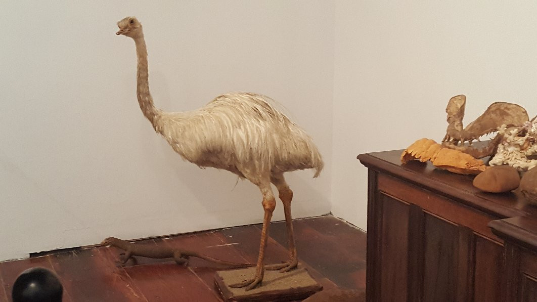 Museo del IES Cabrera Pinto-拉古纳的圣克里斯托波尔城必去景点