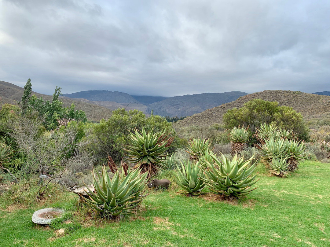 Mymering Wine & Guest Estate主图