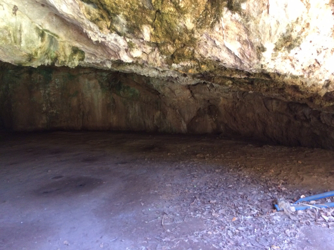 Makauwahi Cave Reserve景点图片