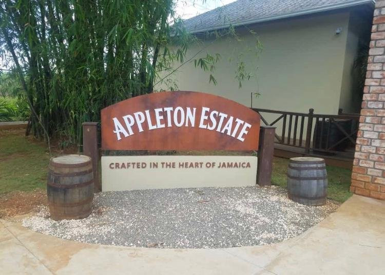 Jamaica Mesmerizing Tours Limited-蒙特戈贝必去景点