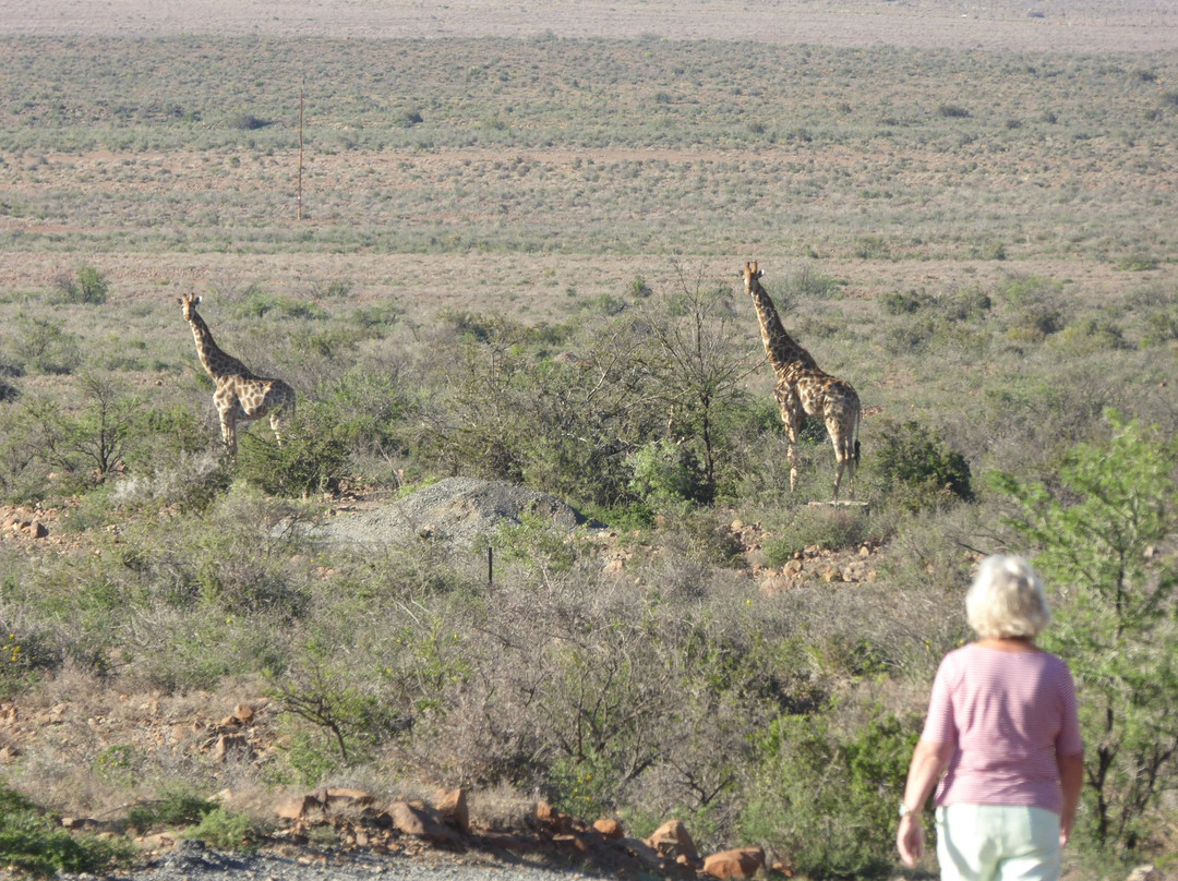 Lemoenfontein Game Lodge主图