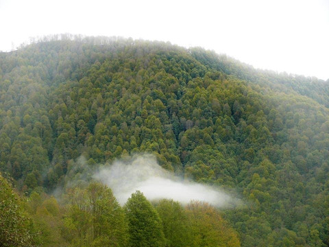 Batumi day Tour with a local Guide Gelodi Brunjadze-巴统必去景点