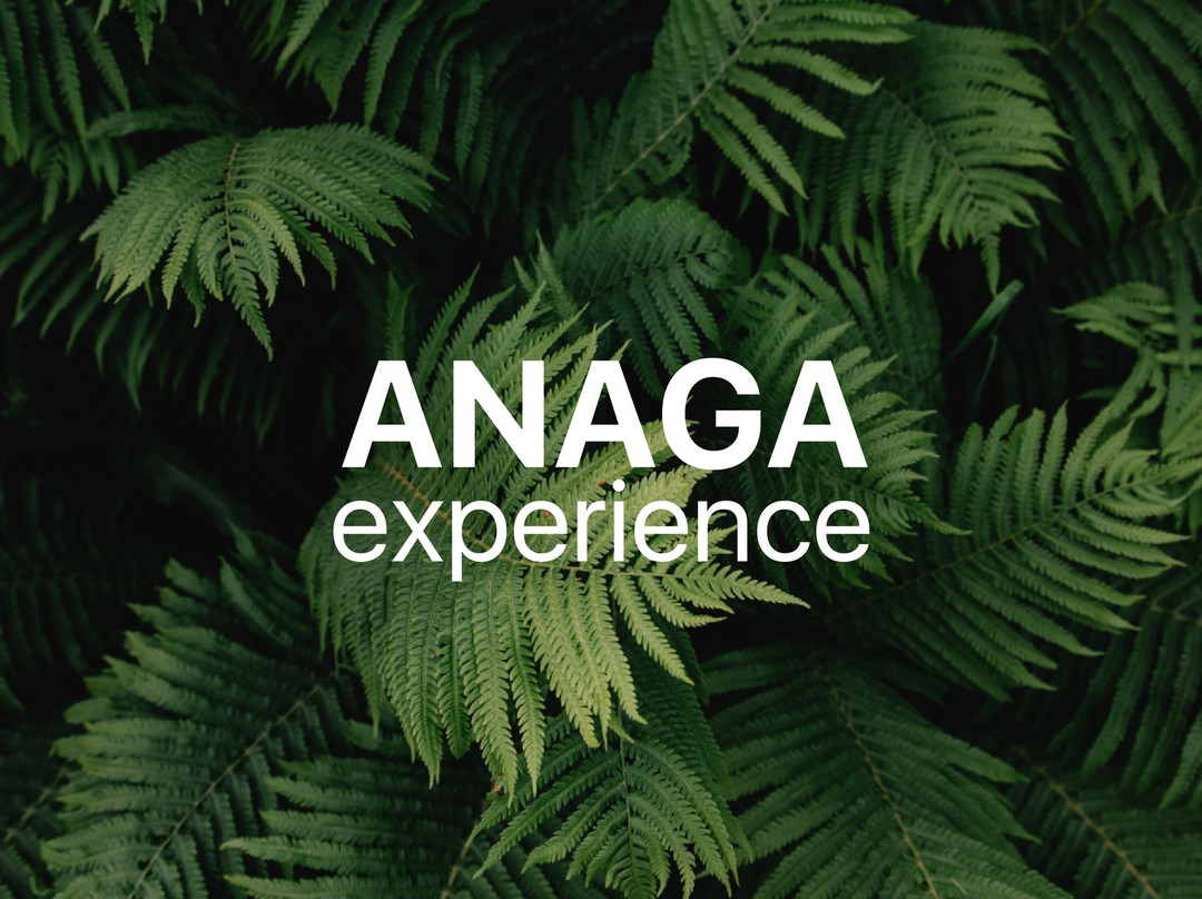 Anaga Experience景点图片