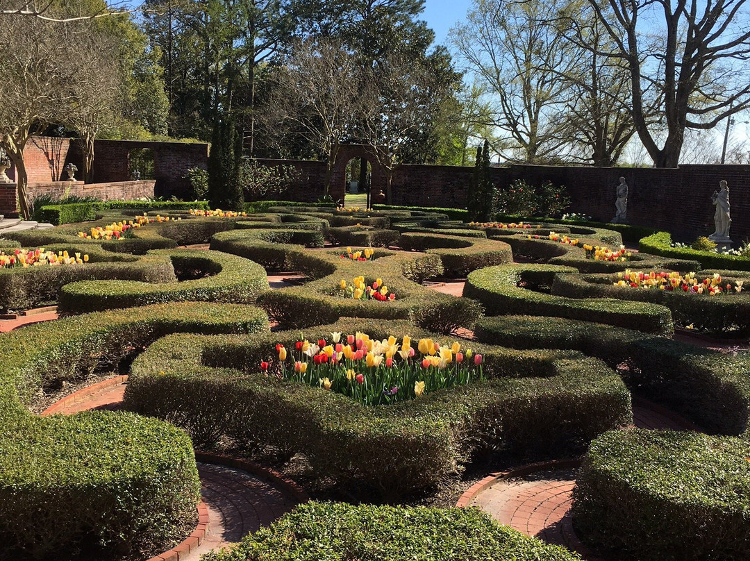 The Captain's Stay主图