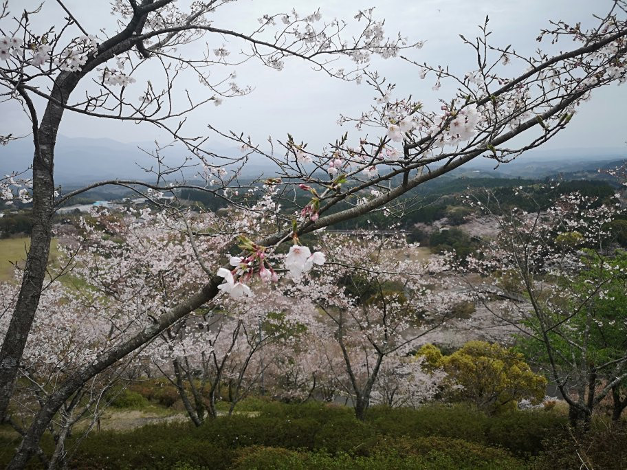 Maruoka Park-雾岛市必去景点