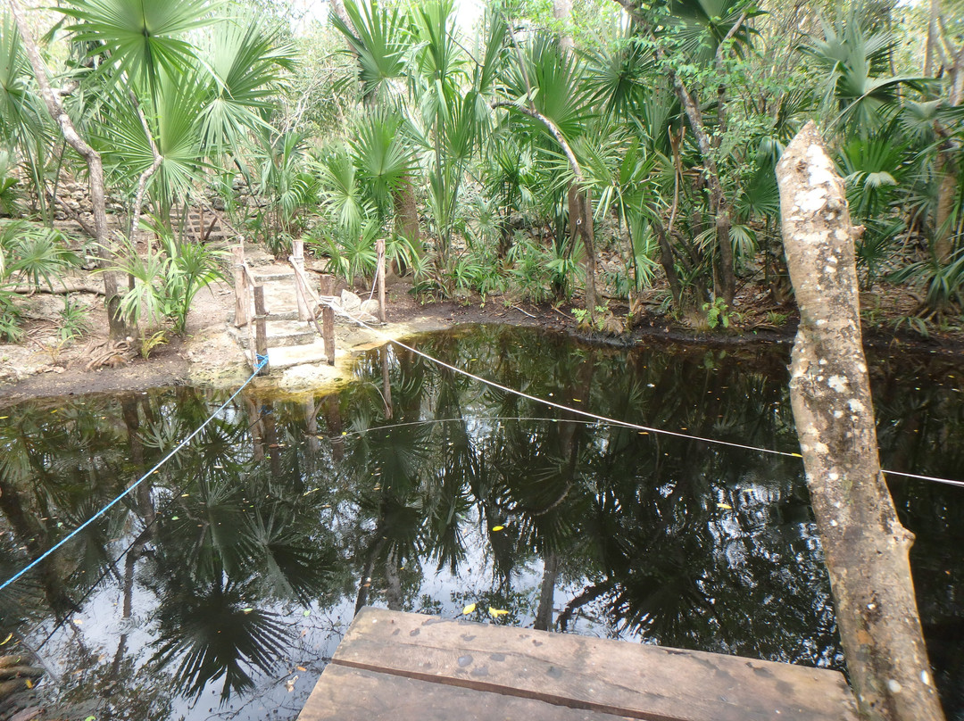 Temazcal Cenote Experience景点图片