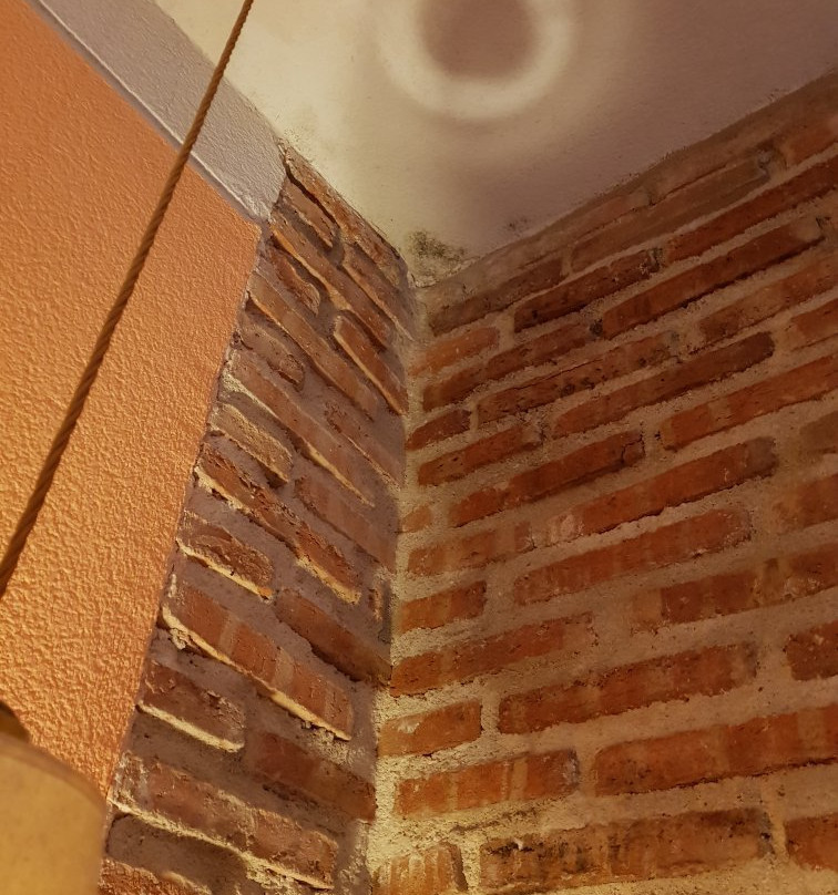 Hotel La Fuente主图