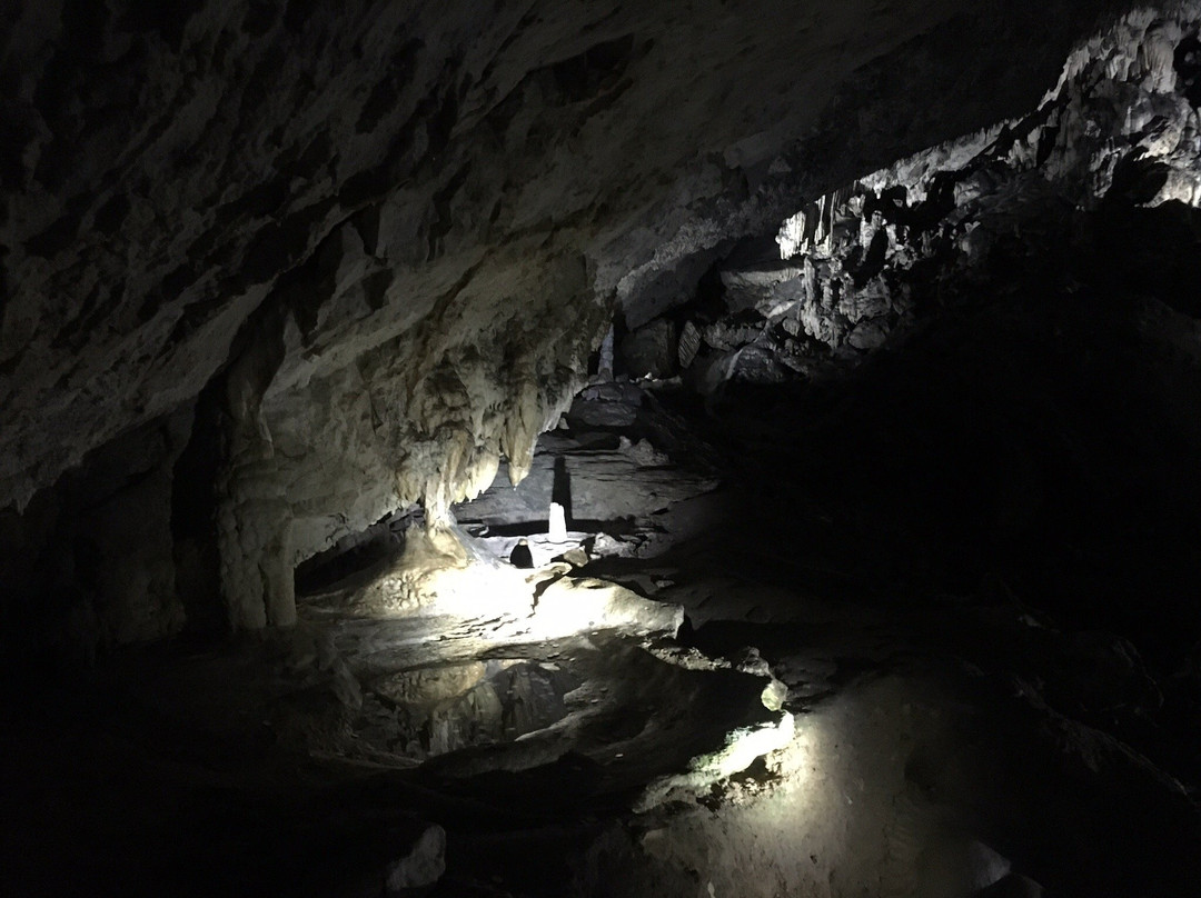 Valea Cetatii Cave景点图片