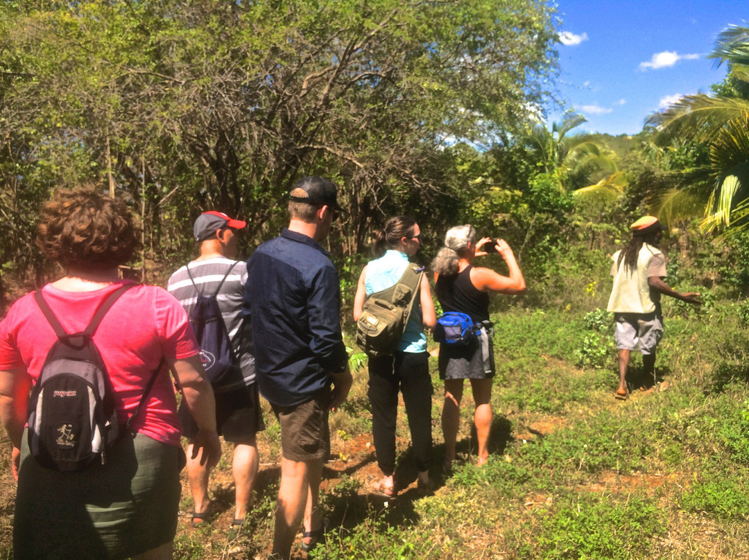 Rivertide Aikikai Jamaica Retreats-Catskill必去景点