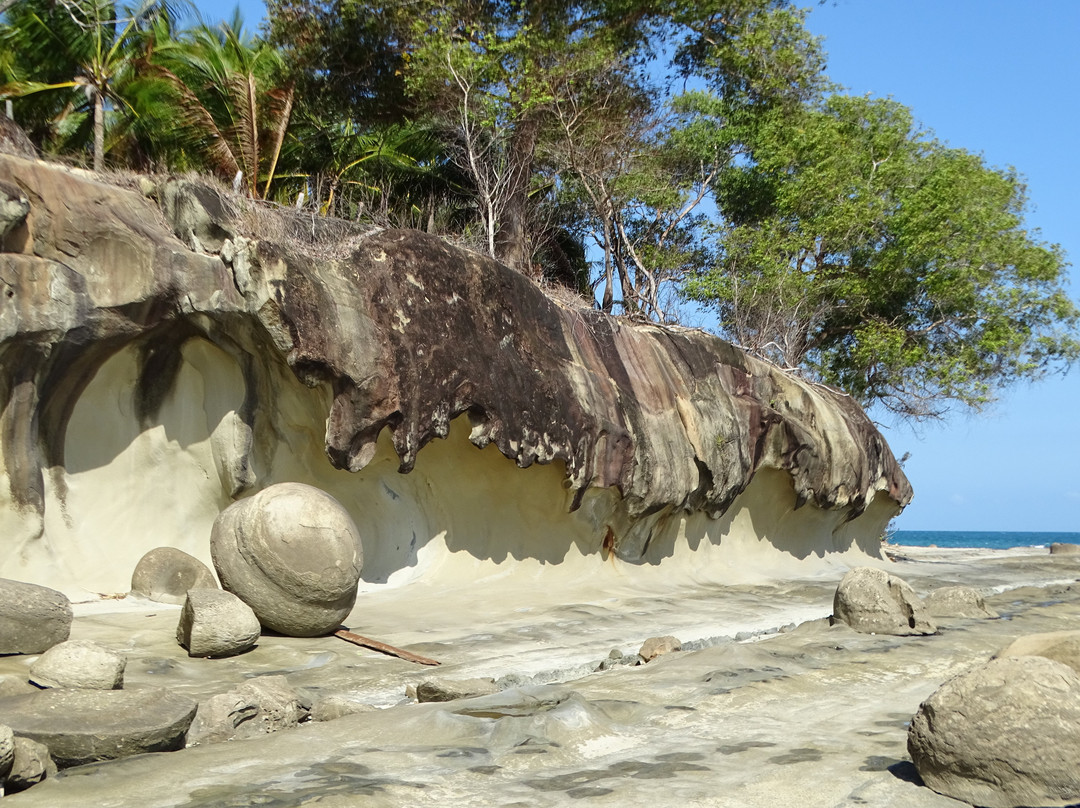 北婆罗洲生物站度假酒店主图