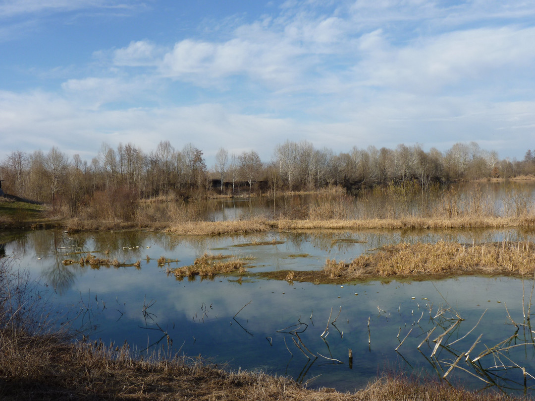 Sant'Albano Stura旅游攻略图片