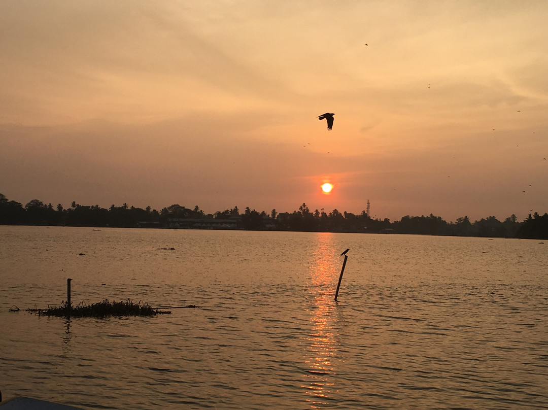 Bolgoda Lake景点图片