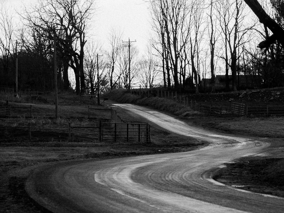 Cave Hill Farm Bed and Breakfast主图