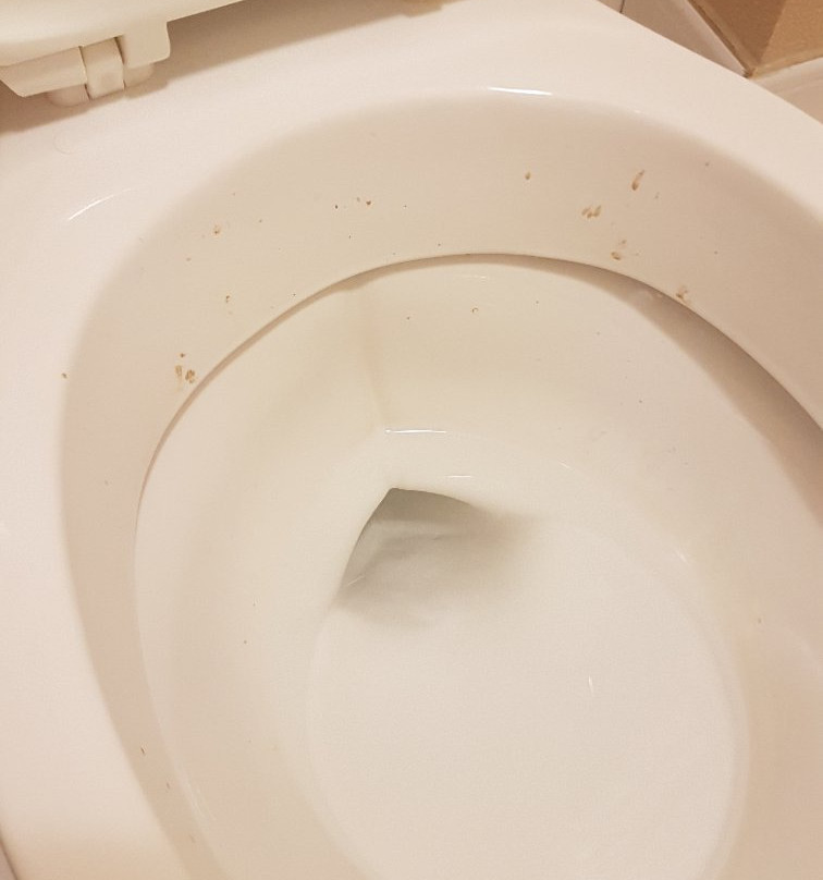 Comfort Inn Meadowlands主图