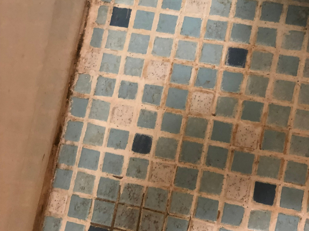 Rodeway Inn Sun City Center主图