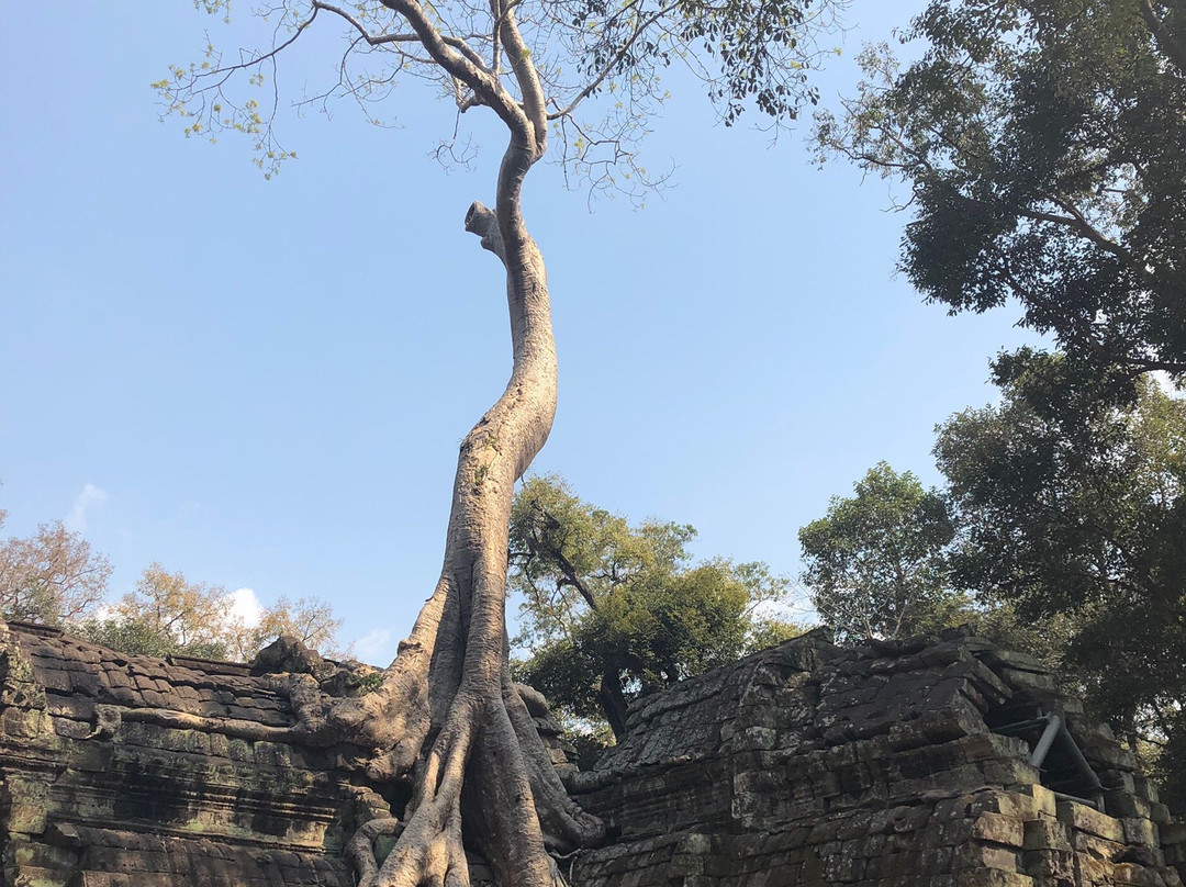 Angkor Wat Driver Private Tours景点图片