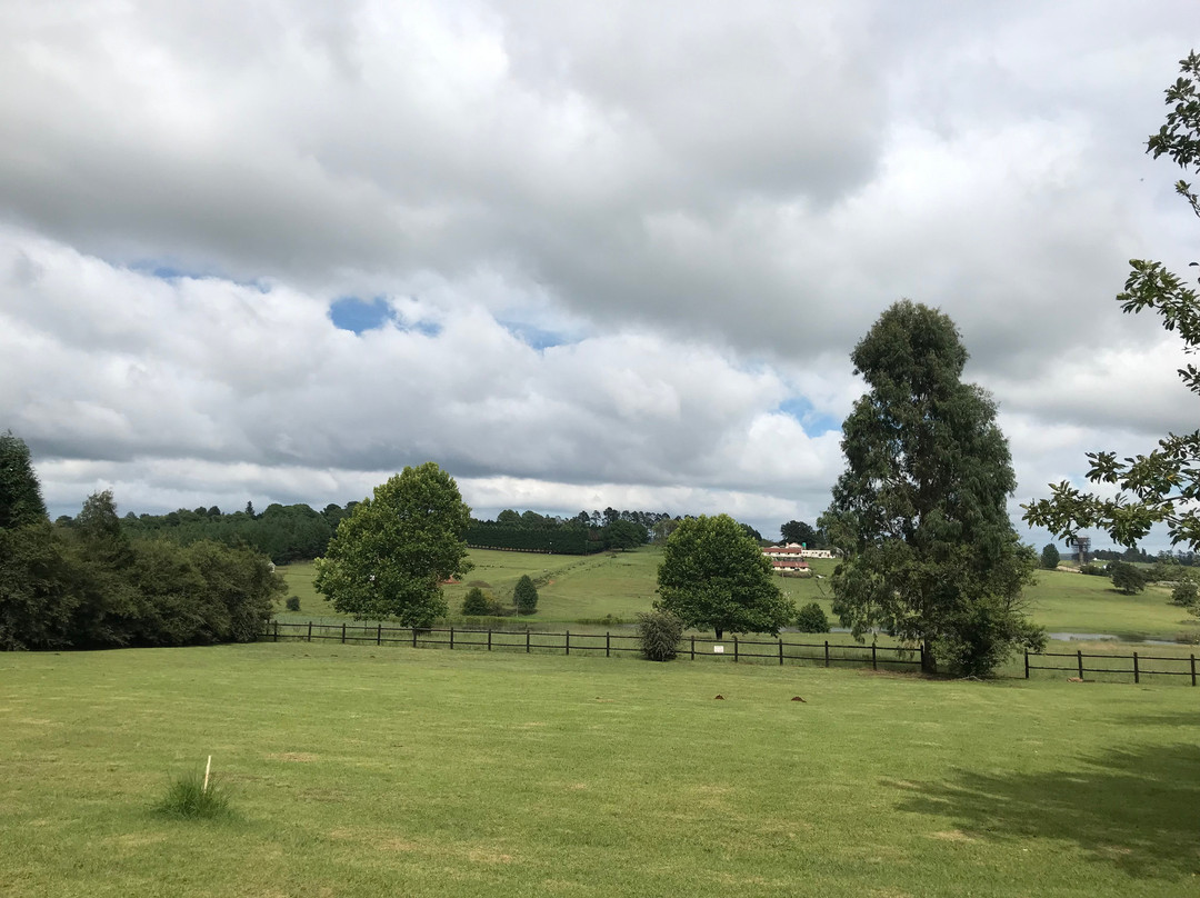 Little Milton Bed & Breakfast主图