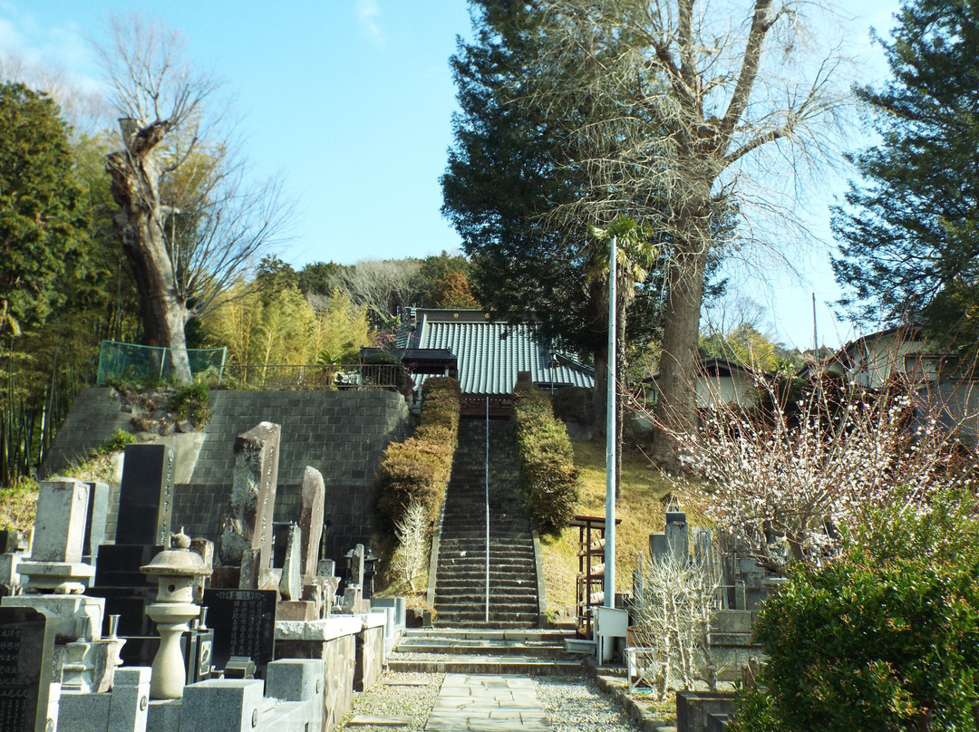 Jogen-ji Temple-二宫町必去景点