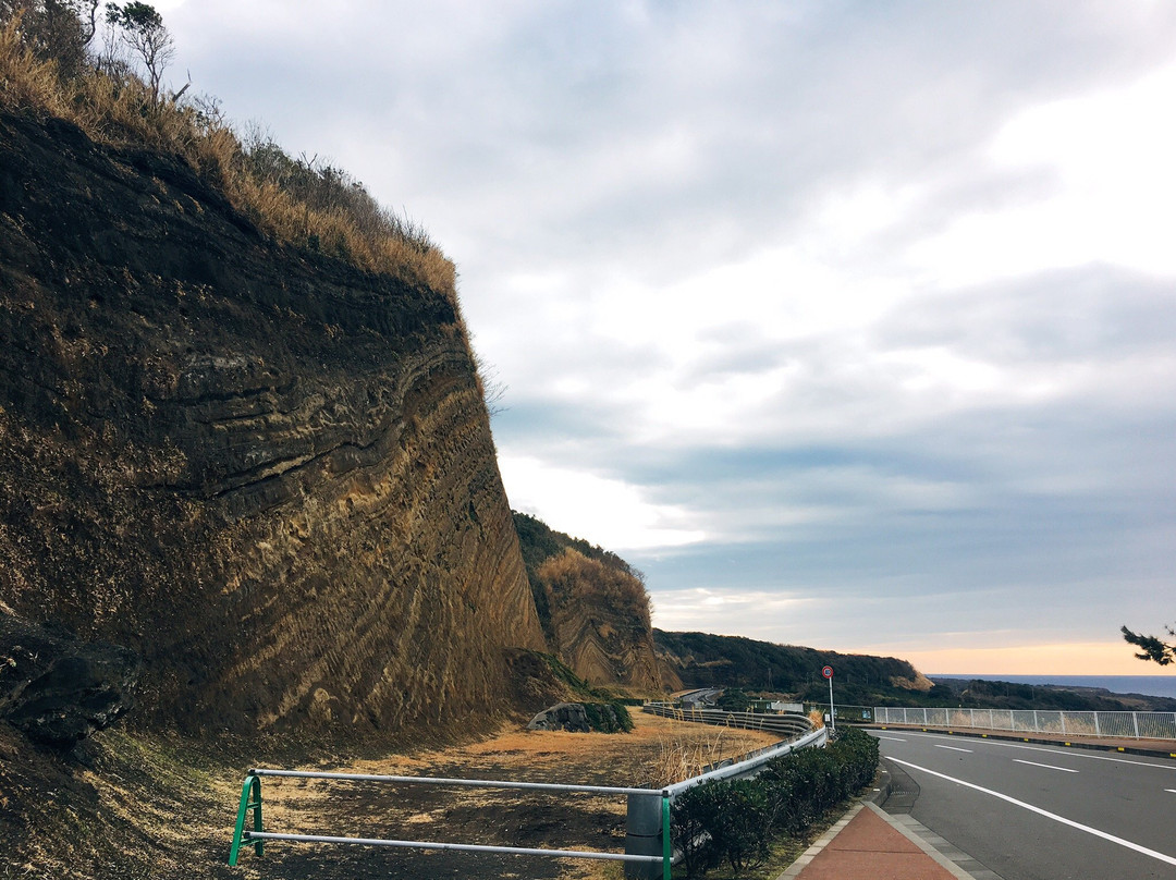 Faulted Strata in Oshima景点图片