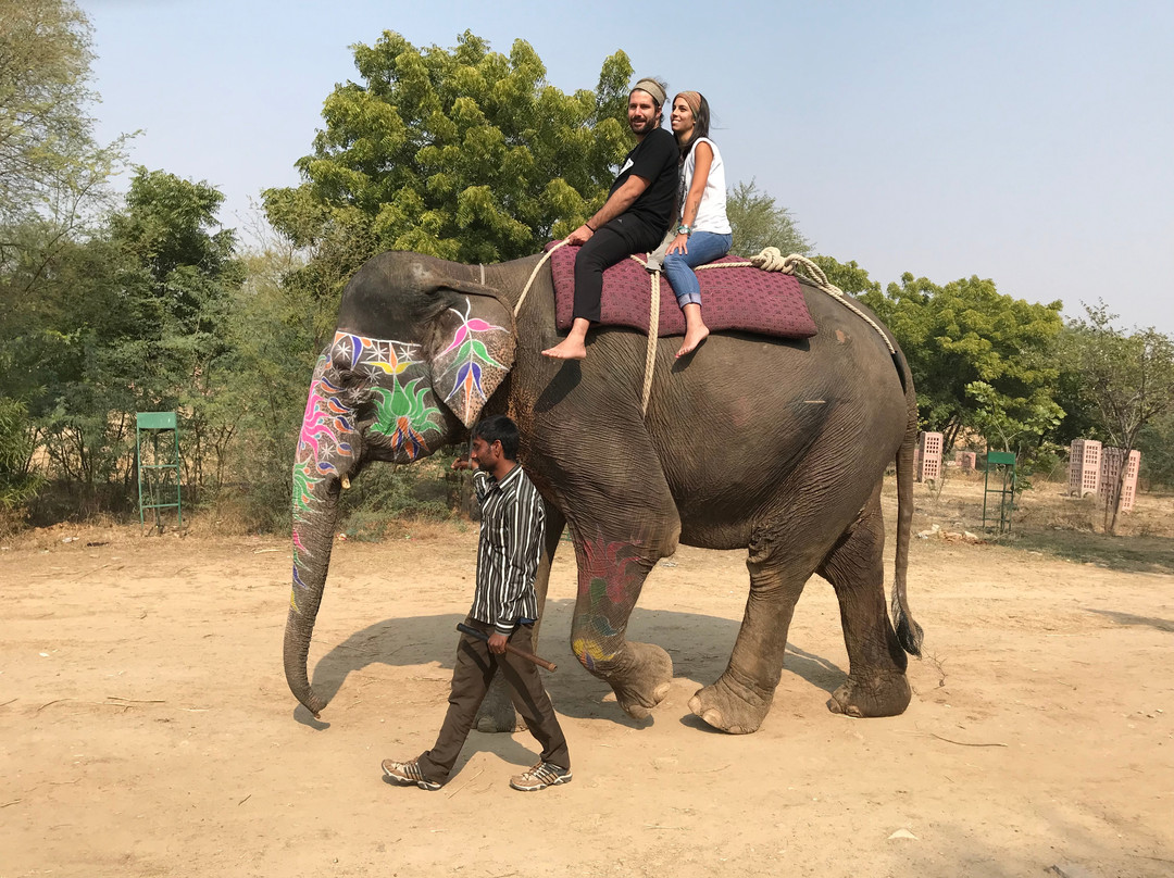 Elefriend-Amer必去景点