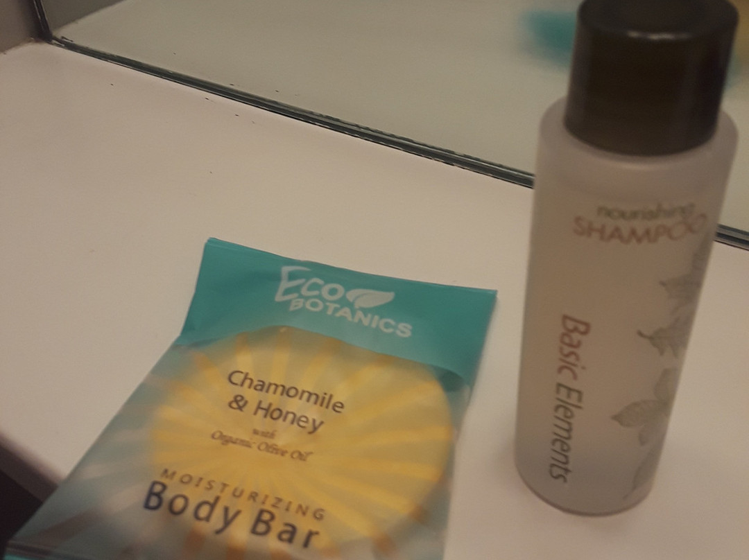 White Rose Motel主图