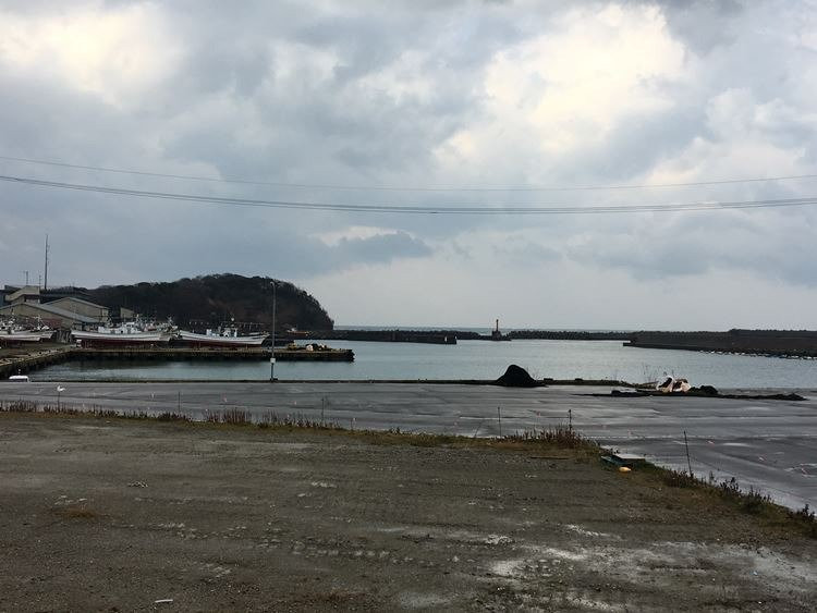Hashidate Fish Port Area景点图片