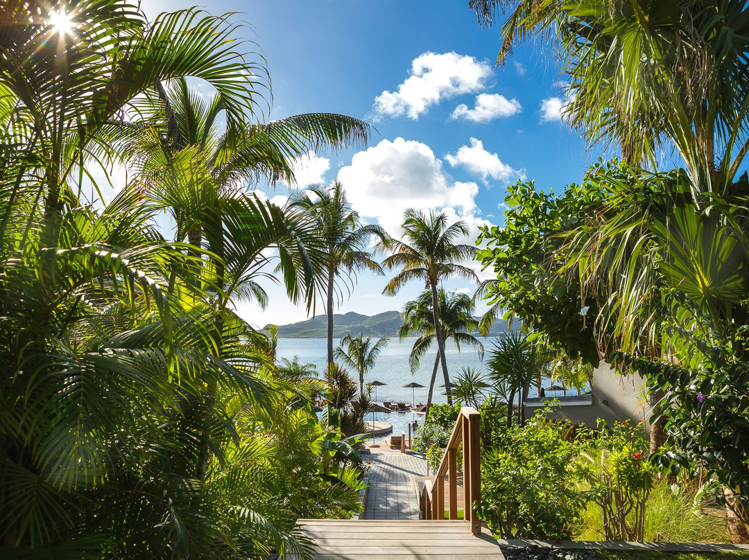 圣巴托洛缪岛酒店住宿-Christopher Hotel