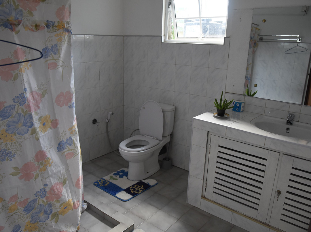 Pedro View Guest House主图