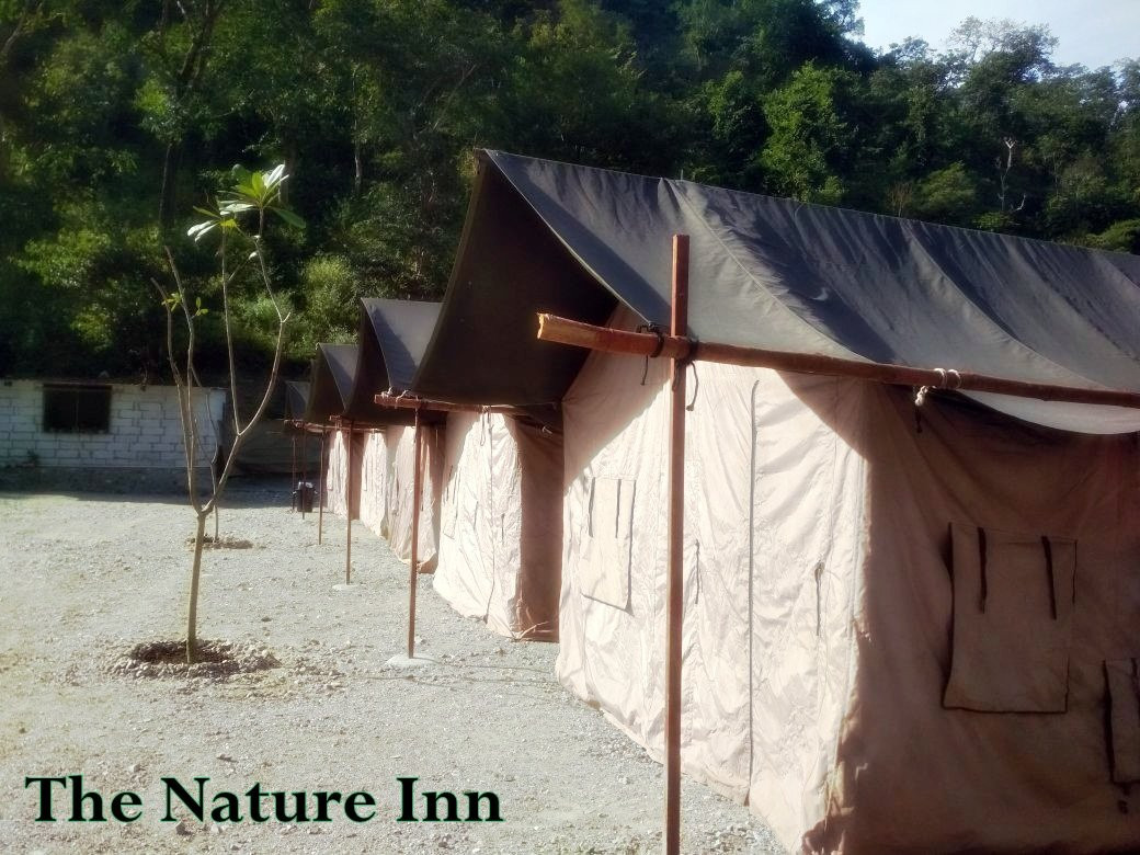 The Nature Inn