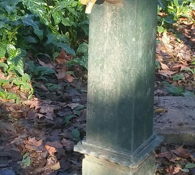 Parco Pubblico "M.A. Centanini"-Stanghella必去景点