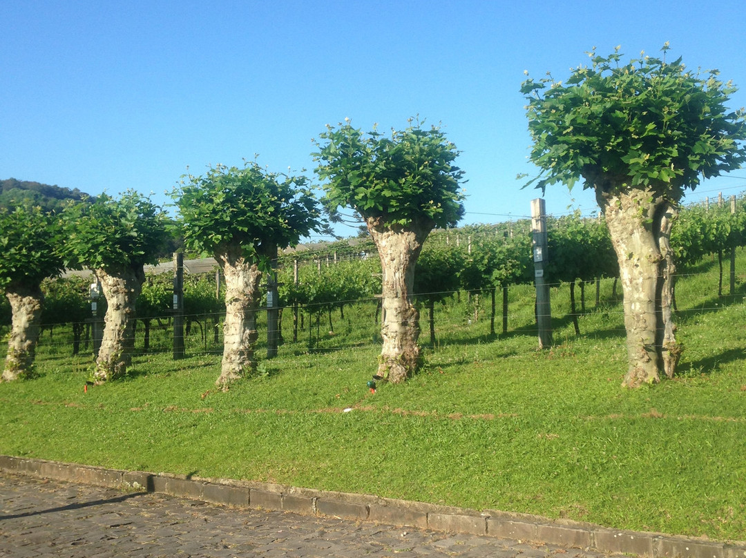 Villa Michelon主图