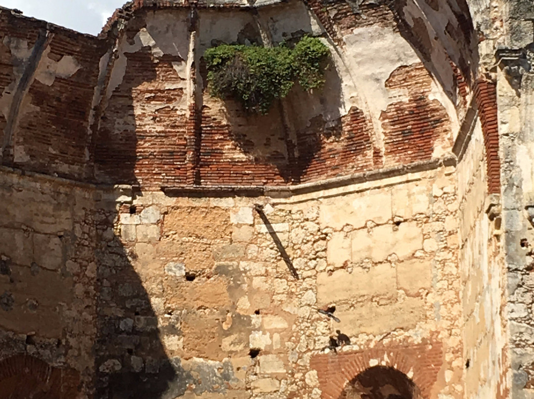 Monasterio de San Francisco景点图片