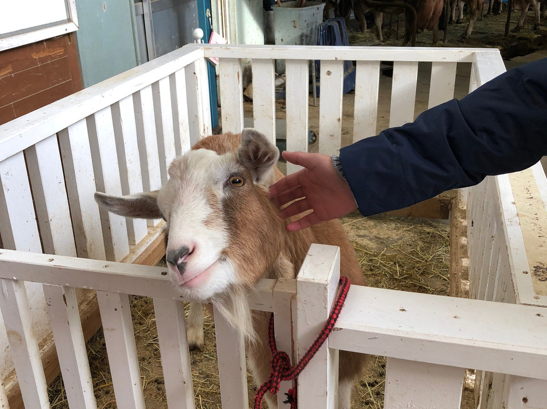 Hida Regional Guide-高山市必去景点