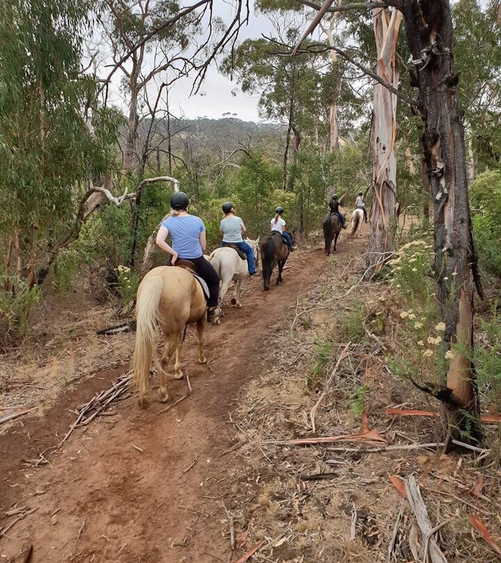 Spring Creek Horse Rides景点图片