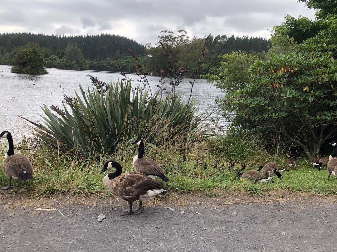 Burgess Park (Meeting of The Waters)-新普利默斯必去景点