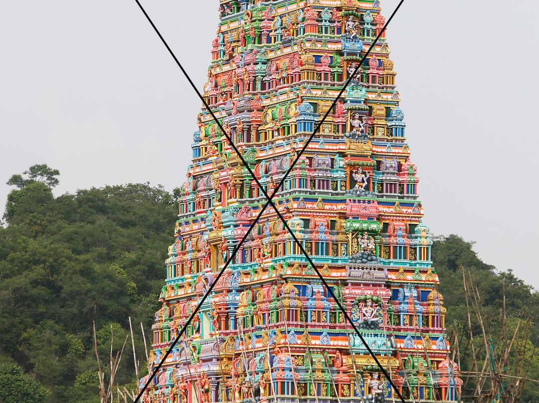 Thiruthani Murugan Temple景点图片